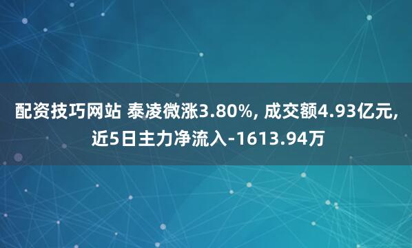 配资技巧网站 泰凌微涨3.80%, 成交额4.93亿元, 近5日主力净流入-1613.94万