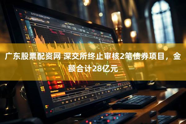 广东股票配资网 深交所终止审核2笔债券项目，金额合计28亿元