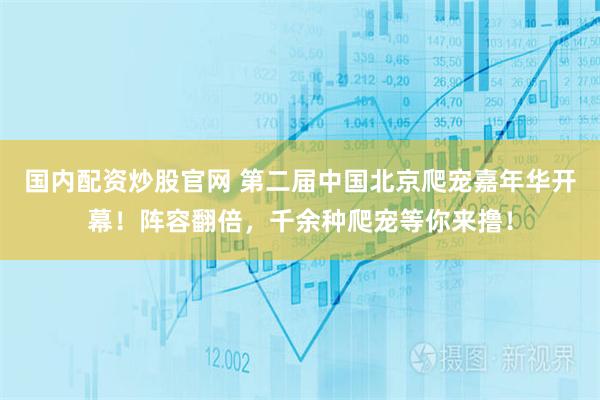 国内配资炒股官网 第二届中国北京爬宠嘉年华开幕!阵容翻倍,千余种爬宠等你来撸!